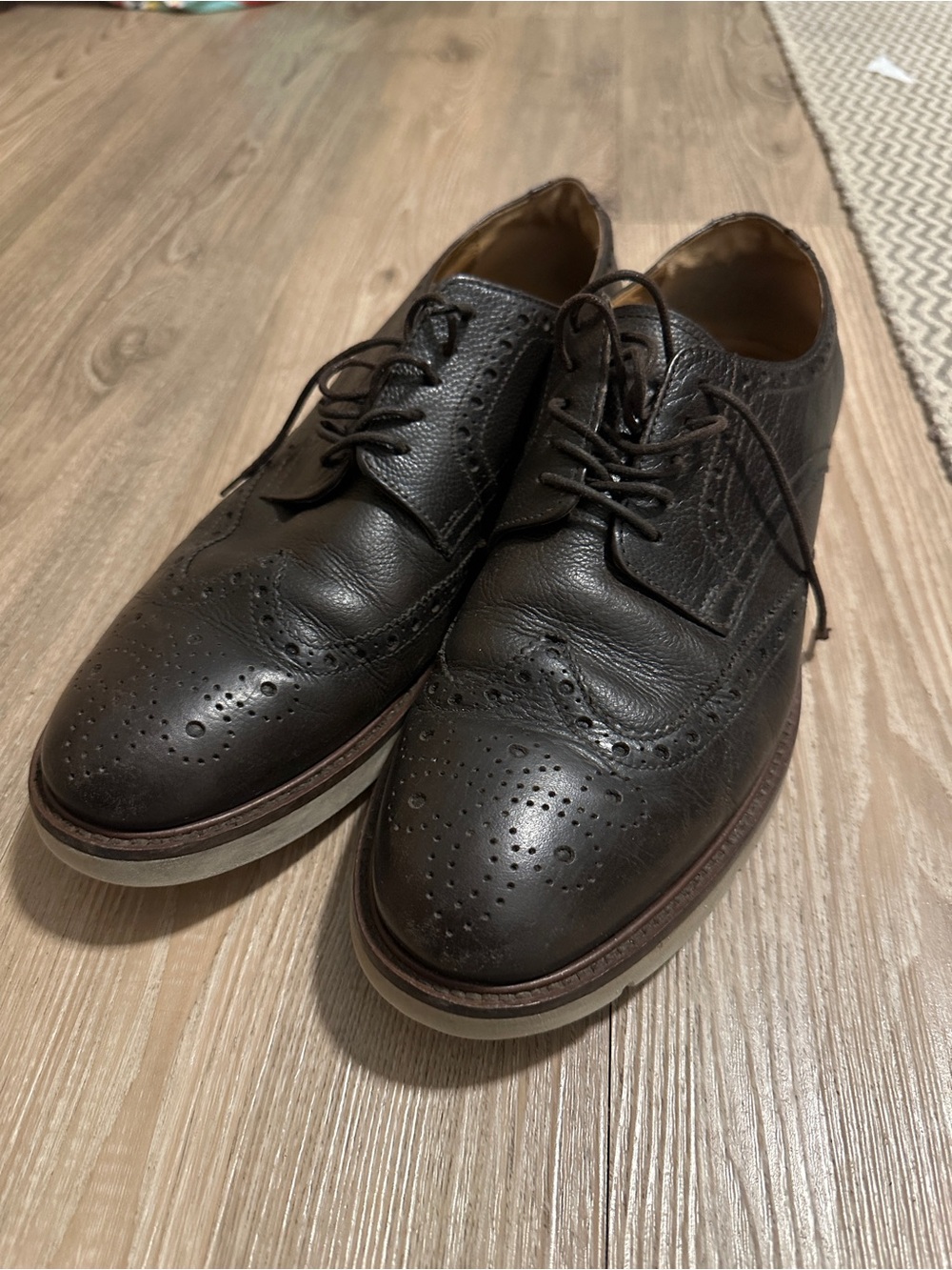 Massimo Dutti Dark Brown Leather Wingtip Brogues